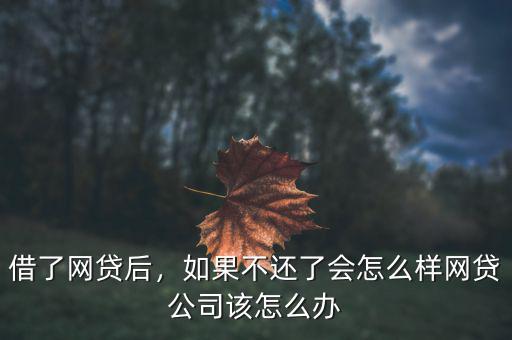 借了網(wǎng)貸后，如果不還了會(huì)怎么樣網(wǎng)貸公司該怎么辦