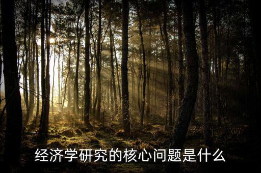 經(jīng)濟學中關注的是什么量,經(jīng)濟學的核心是什么