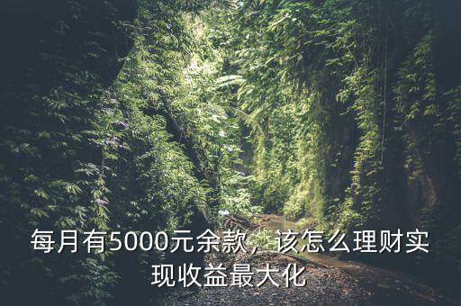 每月5000塊怎么理財(cái),該怎么理財(cái)實(shí)現(xiàn)收益最大化