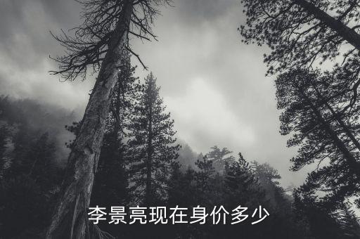 李景亮現(xiàn)在身價多少