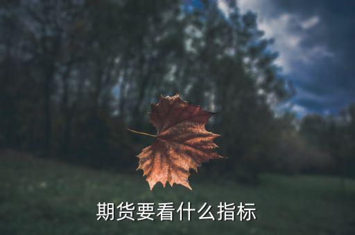 期貨要看什么指標(biāo)