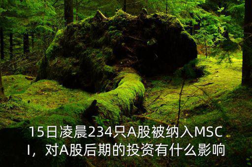 15日凌晨234只A股被納入MSCI，對A股后期的投資有什么影響