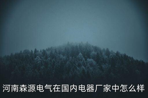 河南森源電氣在國內(nèi)電器廠家中怎么樣