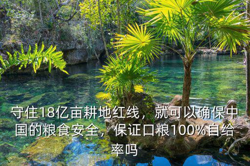 守住18億畝耕地紅線，就可以確保中國(guó)的糧食安全，保證口糧100%自給率嗎