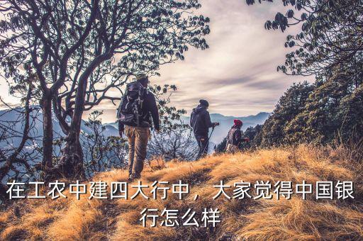 中國銀行服務(wù)怎么樣,大家覺得中國銀行怎么樣