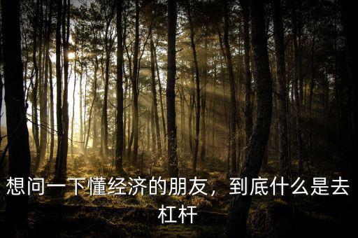 想問一下懂經(jīng)濟的朋友，到底什么是去杠桿