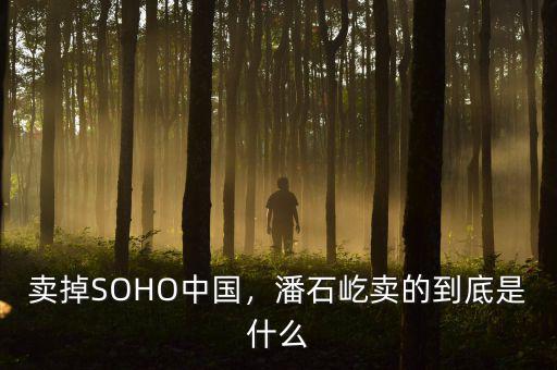 賣掉SOHO中國，潘石屹賣的到底是什么