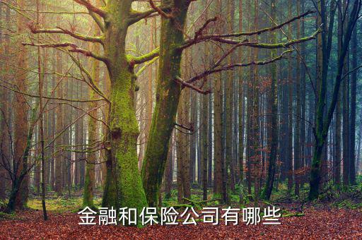 保險(xiǎn)公司都有什么金融工具,金融和保險(xiǎn)公司有哪些