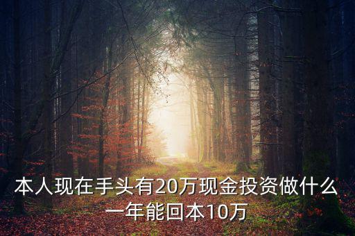 現(xiàn)在有20萬(wàn)怎么投資,現(xiàn)在有20萬(wàn)