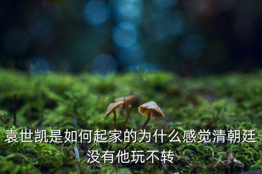 袁世凱是如何起家的為什么感覺(jué)清朝廷沒(méi)有他玩不轉(zhuǎn)