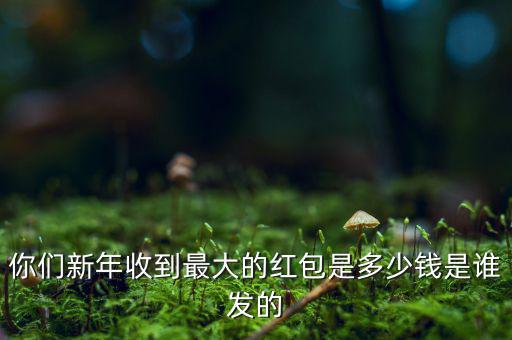 你們新年收到最大的紅包是多少錢(qián)是誰(shuí)發(fā)的