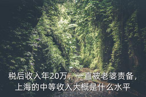 稅后收入年20萬，一直被老婆責(zé)備，上海的中等收入大概是什么水平