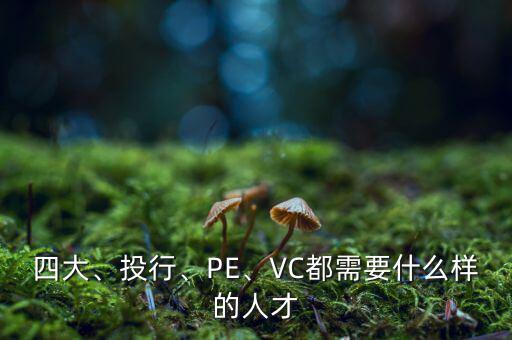 四大、投行、PE、VC都需要什么樣的人才