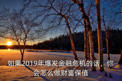 如果2019年爆發(fā)金融危機(jī)的話，你會(huì)怎么做財(cái)富保值