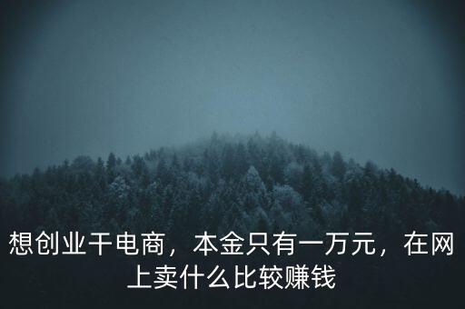 想創(chuàng)業(yè)干電商，本金只有一萬(wàn)元，在網(wǎng)上賣(mài)什么比較賺錢(qián)