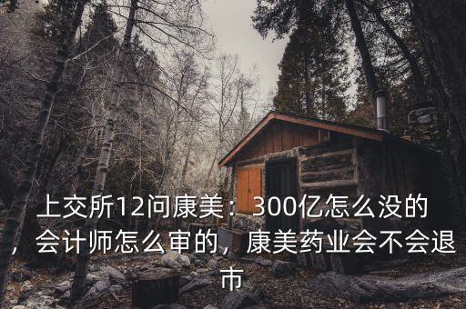 上交所12問康美：300億怎么沒的，會計師怎么審的，康美藥業(yè)會不會退市