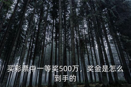 微信彩票中500萬怎么領取,買彩票中一等獎500萬