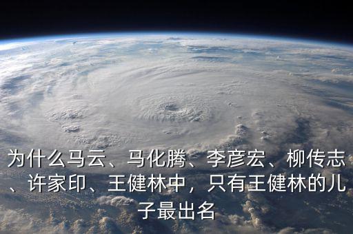 為什么馬云、馬化騰、李彥宏、柳傳志、許家印、王健林中，只有王健林的兒子最出名