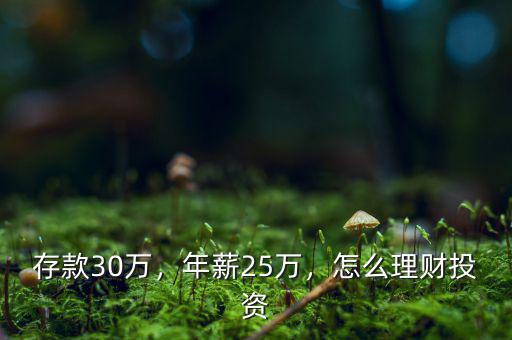 存款30萬，年薪25萬，怎么理財投資