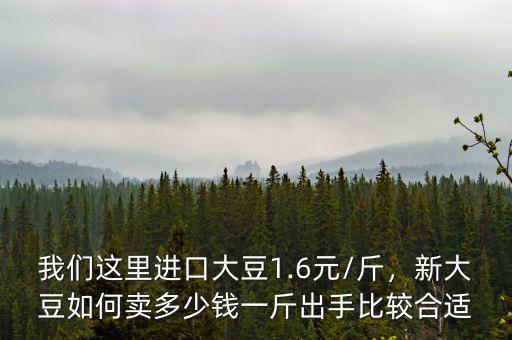 我們這里進口大豆1.6元/斤，新大豆如何賣多少錢一斤出手比較合適