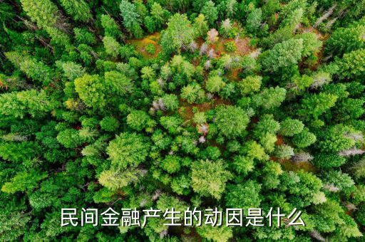 民間金融產(chǎn)生的動因是什么