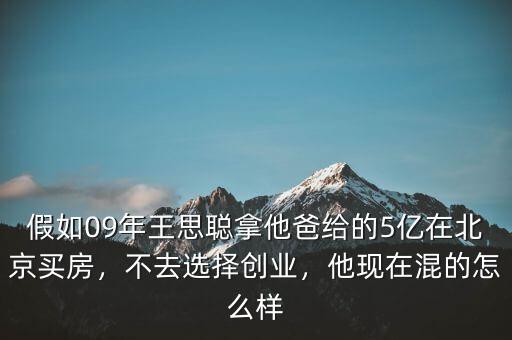 假如09年王思聰拿他爸給的5億在北京買房，不去選擇創(chuàng)業(yè)，他現(xiàn)在混的怎么樣