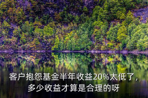 客戶抱怨基金半年收益20%太低了，多少收益才算是合理的呀