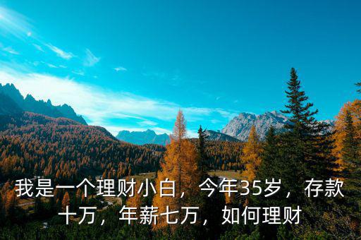 我是一個理財小白，今年35歲，存款十萬，年薪七萬，如何理財