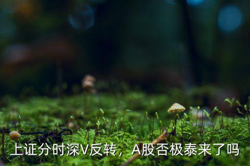 上證分時(shí)深V反轉(zhuǎn)，A股否極泰來了嗎