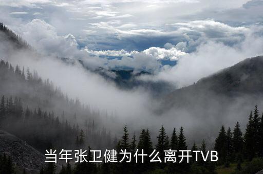 沈皓瑜為什么離開百度,當(dāng)年張衛(wèi)健為什么離開TVB