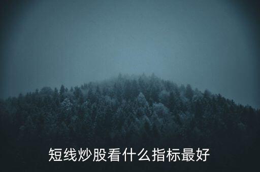 短線炒股看什么指標(biāo)最好