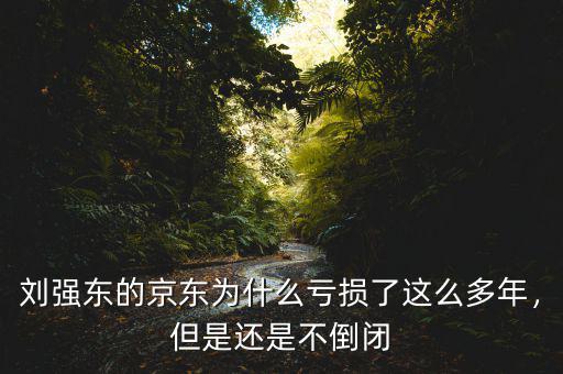 劉強(qiáng)東的京東為什么虧損了這么多年，但是還是不倒閉