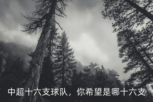 中超十六支球隊(duì)，你希望是哪十六支