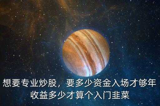 想要專業(yè)炒股，要多少資金入場才夠年收益多少才算個入門韭菜