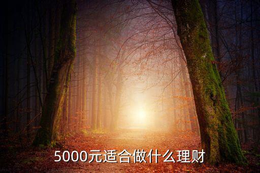 我有5000元怎么買理財(cái),你會(huì)怎么理財(cái)