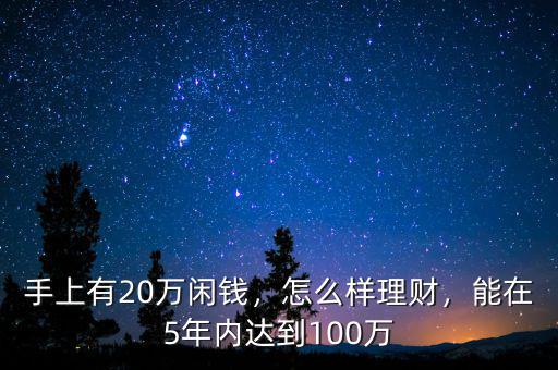 手上有20萬(wàn)閑錢，怎么樣理財(cái)，能在5年內(nèi)達(dá)到100萬(wàn)