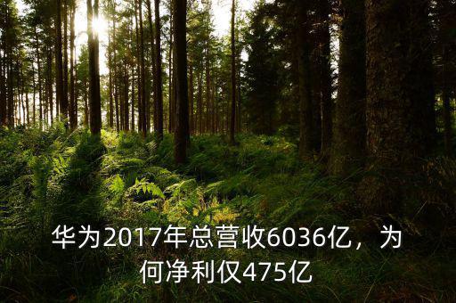 華為2017年總營收6036億，為何凈利僅475億