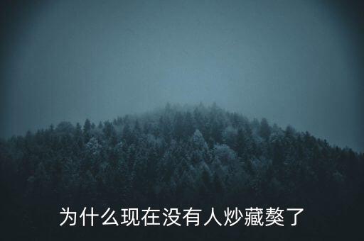 藏獒為什么沒(méi)人要了,藏獒的價(jià)格低了