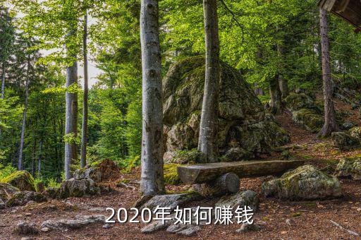 2020年如何賺錢