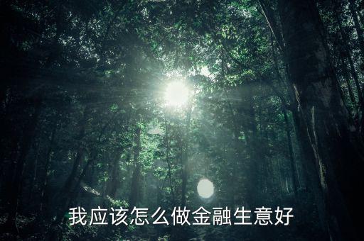 我應該怎么做金融生意好