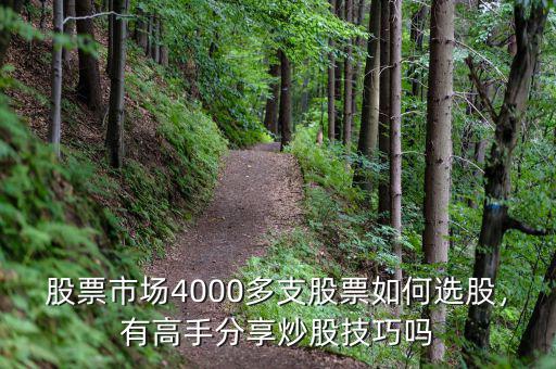 股票市場(chǎng)4000多支股票如何選股，有高手分享炒股技巧嗎