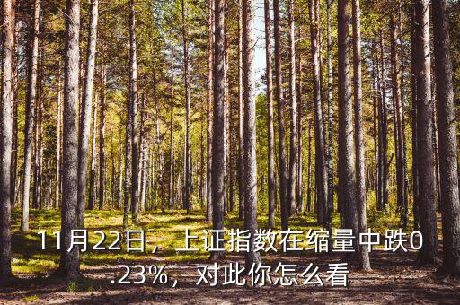 11月22日，上證指數(shù)在縮量中跌0.23%，對此你怎么看