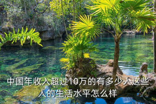 中國(guó)年收入超過10萬的有多少人這些人的生活水平怎么樣