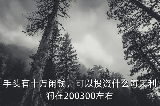 手頭有十萬閑錢，可以投資什么每天利潤在200300左右