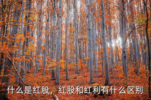 什么是紅股，紅股和紅利有什么區(qū)別