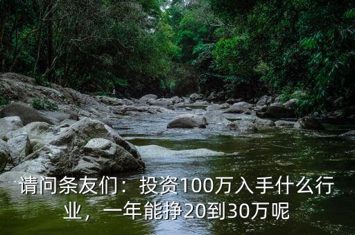 請(qǐng)問條友們：投資100萬入手什么行業(yè)，一年能掙20到30萬呢