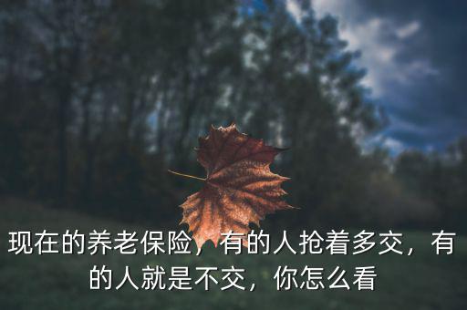 中國有多少人停止交養(yǎng)老保險,現(xiàn)在的養(yǎng)老保險