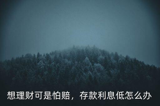 銀行利息低怎么理財(cái),存款利息低怎么辦