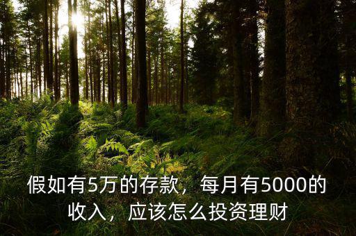 假如有5萬的存款，每月有5000的收入，應(yīng)該怎么投資理財