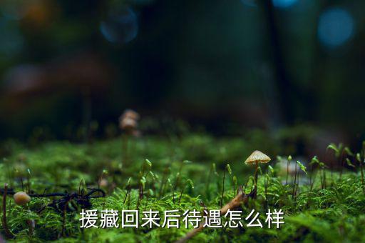 援藏回來(lái)后待遇怎么樣